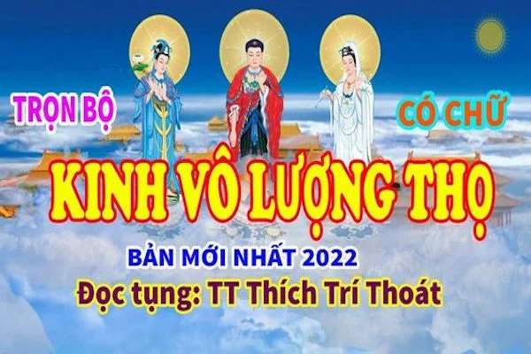 Kinh Vô Lượng Thọ pdf trọn bộ có chữ, bản đầy đủ cho phật tử